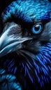 Spectacular Blue-Eyed Raven Closeup with Glossy Feathers.