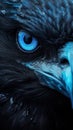 Spectacular Blue-Eyed Raven in Extreme Closeup.