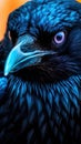 Spectacular Blue-Eyed Raven in Extreme Closeup.