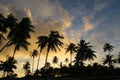 Spectacular blue and yellow-grey sunset with silouetted palm trees at Barra Grande, Camamu Bay, Bahia-Brazil