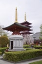 The spectacular Buddhist temple in Asakusa illuminated in the evening.