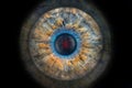 spectacular close-up Human iris and hi-tech concept, human eye recognition scanning process