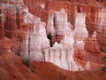 Bryce Canyon Hoodoos Closeup Royalty Free Stock Photo