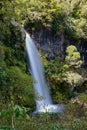 Spectacular Dawson Waterfalls in Egmont National Park, New Zealand