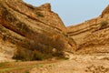 Dry, desert canyon . Mides, Tunisia, Africa