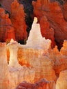 Bryce Canyon National Park, Scenic Attraction, Utah, USA Royalty Free Stock Photo