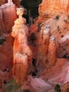 Bryce Canyon National Park, Scenic Attraction, Utah, USA Royalty Free Stock Photo