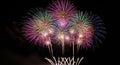Vibrant Fireworks Display Illuminating the Night Sky with Multiple Bursts of Color celebration dark Royalty Free Stock Photo