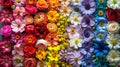 Spectacular display over 200 diverse flowers from around the world captured in one stunning photo