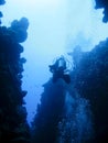 At the bottom of an underwater canyon in Dahab, Egypt Royalty Free Stock Photo