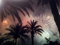 Spectacular fireworks over palm trees at night in the French riviera