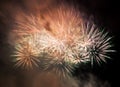 Spectacular fireworks show light up the sky. New year celebration. Royalty Free Stock Photo