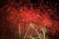 Spectacular fireworks show light up the sky. New year celebration. Royalty Free Stock Photo