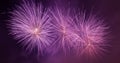 Spectacular fireworks show light up the sky. New year celebration. Panorama Royalty Free Stock Photo