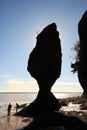 Hopewell Rocks on the Bay of Fundy, New Brunswick, Canada Royalty Free Stock Photo