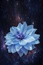 Spectacular flower in the space