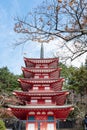 Spectacular Goju-no-To five-storied pagoda towe front view ,Shimoyoshida,Yamanashi,Japan.