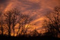 Spectacular golden clouds colored by the setting sun. Silhouettes of trees at the end of the spring