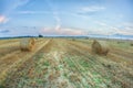 Spectacular golden field with round hay rolls under a blue sky