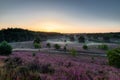 Spectacular sunrise with rays of sun over the blooming purple heather with thin layers of fog.