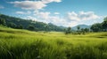 Spectacular Grass Scenery: Finely Detailed Cinematic Canon Eos Rebel T7 Photography