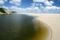 Spectacular Henty Sand Dunes Oasis Royalty Free Stock Photo