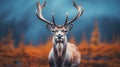 Spectacular Hyper-realistic Portraiture: Majestic Deer In Norwegian Forest