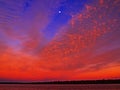 Radient Crimson Cirrus colored coastal sunrise seascape in a vivid blue sky.