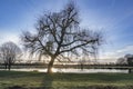 Spectacular January sunrise at Bushy Park