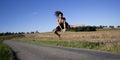 Spectacular jump of a woman over a country road.