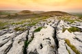 Spectacular landscape in the Burren region of County Clare, Ireland. Royalty Free Stock Photo