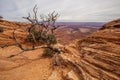 Spectacular landscapes of Canyonlands National park in Utah, USA Royalty Free Stock Photo