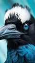 Spectacular Magpie in Extreme Closeup: A Macrograph of Richly Textured Detail.