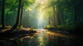 Spectacular morning sun light rays in the forest. Green forest during a beautiful summer warm day Royalty Free Stock Photo