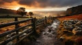 Spectacular Morning View: Muddy Path With Stone Fence On English Moors