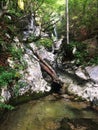 Mostnica Gorge, near Bojini Jezero, Slovenia