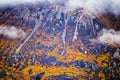 Kluane National Park and Reserve, Valley and Mountainside Views Royalty Free Stock Photo