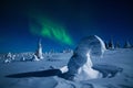 Spectacular Northern lights, Aurora borealis display during a cold winter night in Riisitunturi National Park, Lapland.