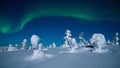 Spectacular Northern lights, Aurora borealis display during a cold winter night in Riisitunturi National Park, Lapland.