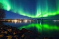 spectacular northern lights aurora borealis under star-filled skies