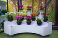 Spectacular orchid flower exhibition in decoration shop, Netherlands Royalty Free Stock Photo