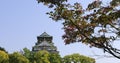 Osaka Castle cherry blossom Royalty Free Stock Photo