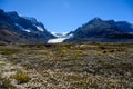 The spectacular panorama, the dramatic mountain terrain and the fall color of high alpine flora give the Athabasca Glacier along