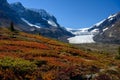 The spectacular panorama, the dramatic mountain terrain and the fall color of high alpine flora give the Athabasca Glacier along