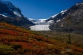 The spectacular panorama, the dramatic mountain terrain and the fall color of high alpine flora give the Athabasca Glacier along