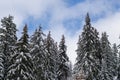 Spectacular panorama is opened on mountains, trees covered with white snow, lawn and blue sky with clouds. Royalty Free Stock Photo