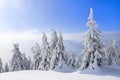 Spectacular panorama is opened on mountains, trees covered with white snow, lawn and blue sky with clouds. Royalty Free Stock Photo