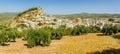 A spectacular panorama view of the hilltop fortress and the town of Montefrio, Spain