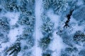 Spectacular panoramic aerial top down view on snow covered pine and fir tree forest with small road during snowfall, white winter Royalty Free Stock Photo