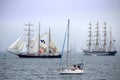 Spectacular Parade of sails